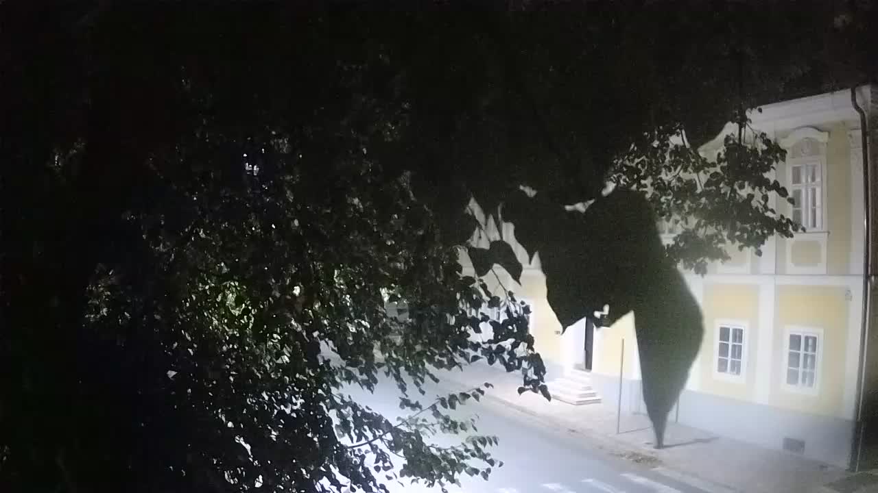 Live Webcam Petrinja Park – nach dem Erdbeben
