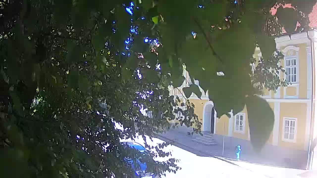 Webcam en vivo parque Petrinja – después del terremoto