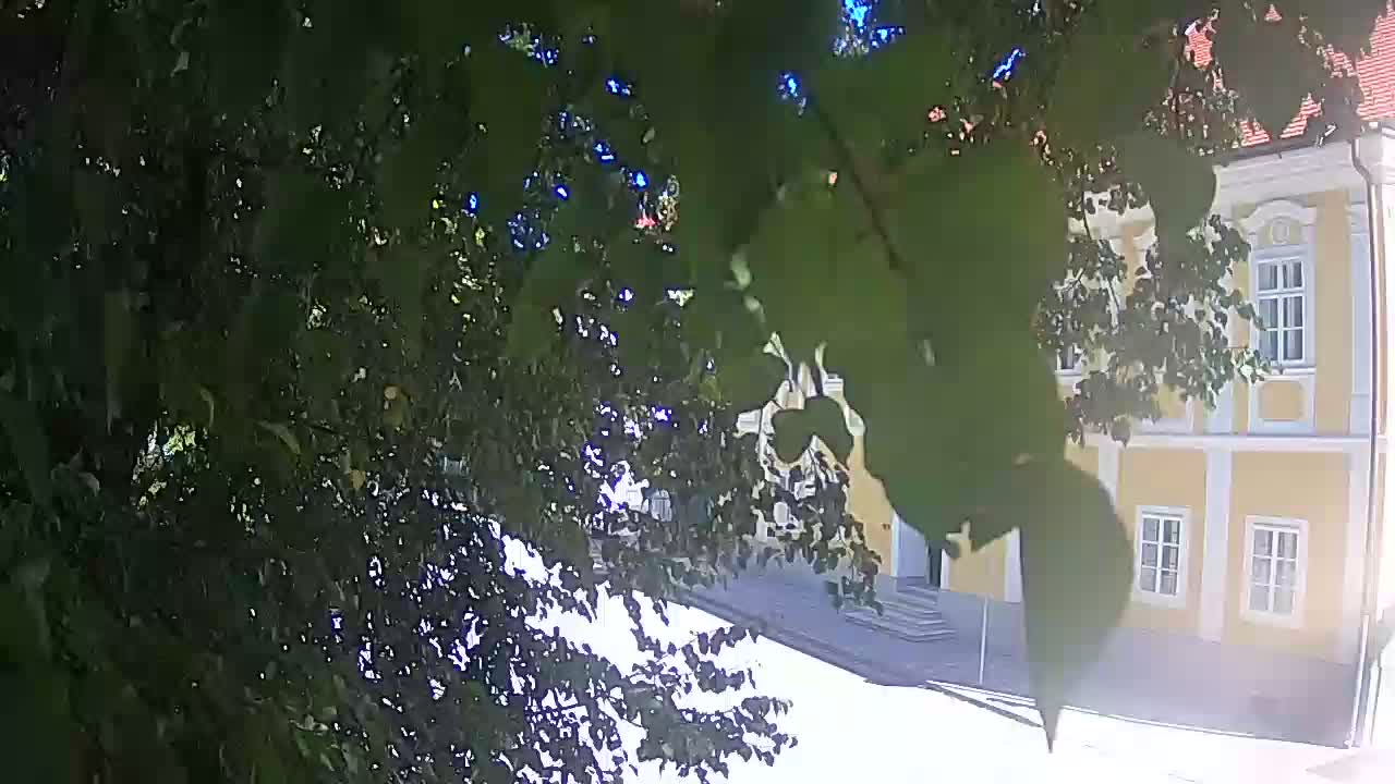 Webcam en direct du parc Petrinja – après le tremblement de terre