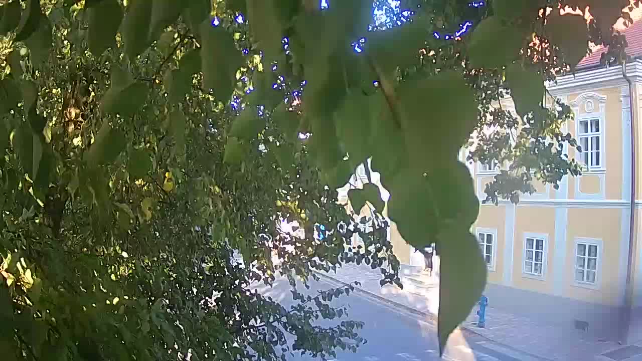 Webcam en direct du parc Petrinja – après le tremblement de terre