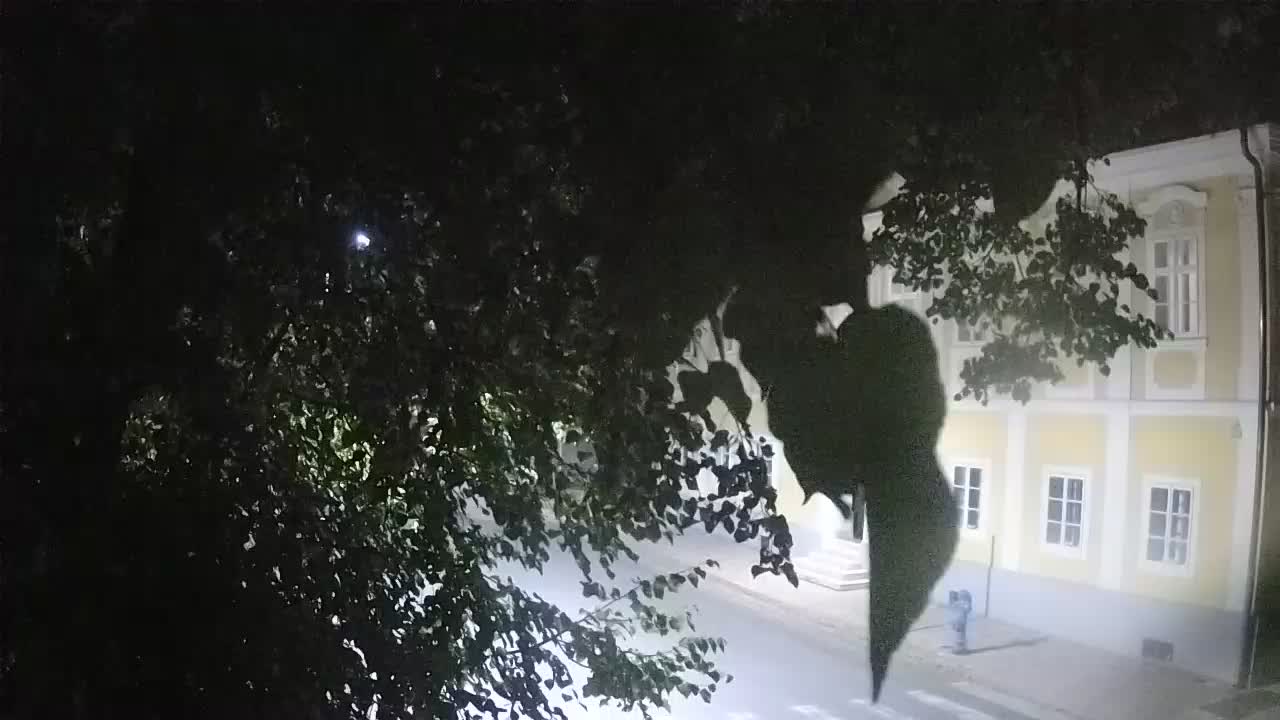 Webcam en direct du parc Petrinja – après le tremblement de terre