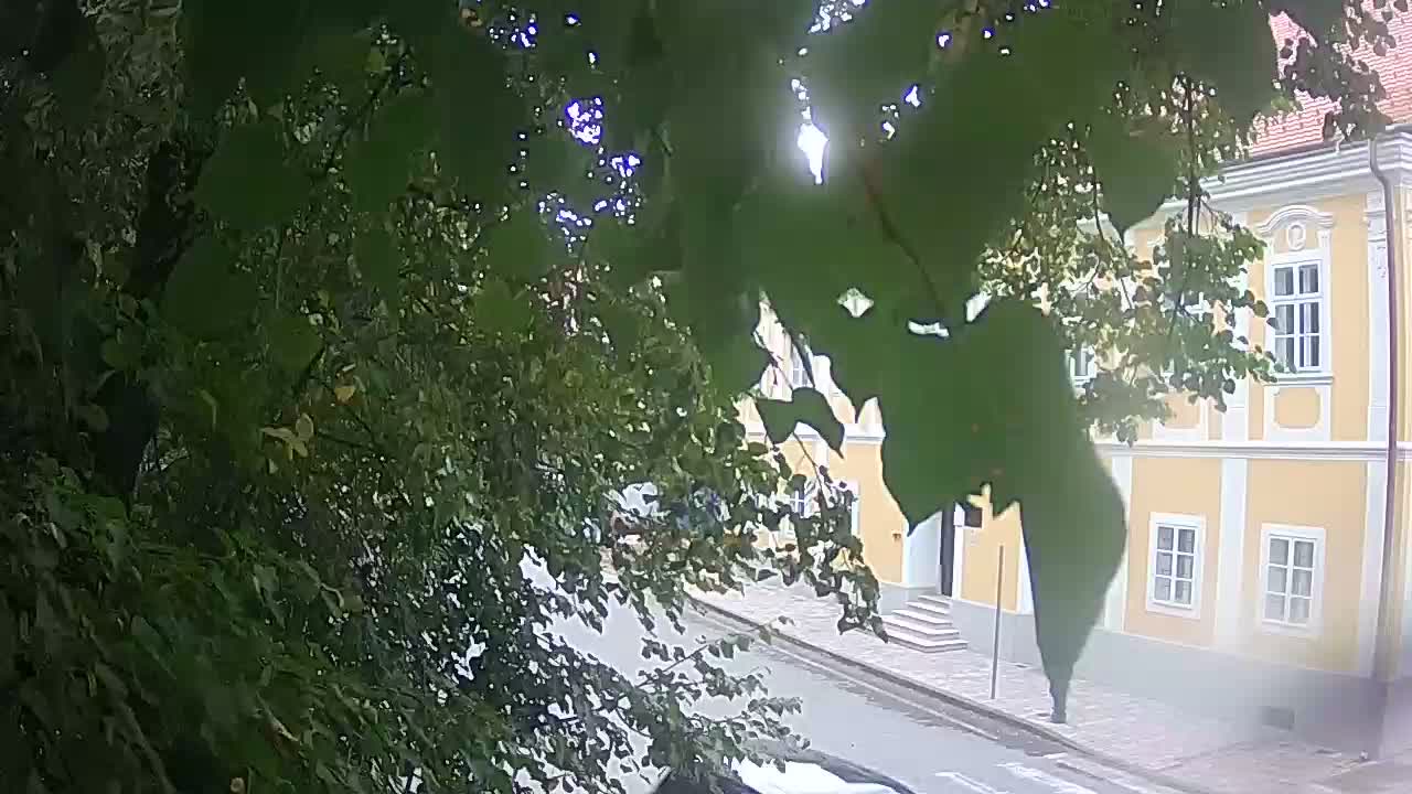 Live webcam Petrinja central park – after the earthquake