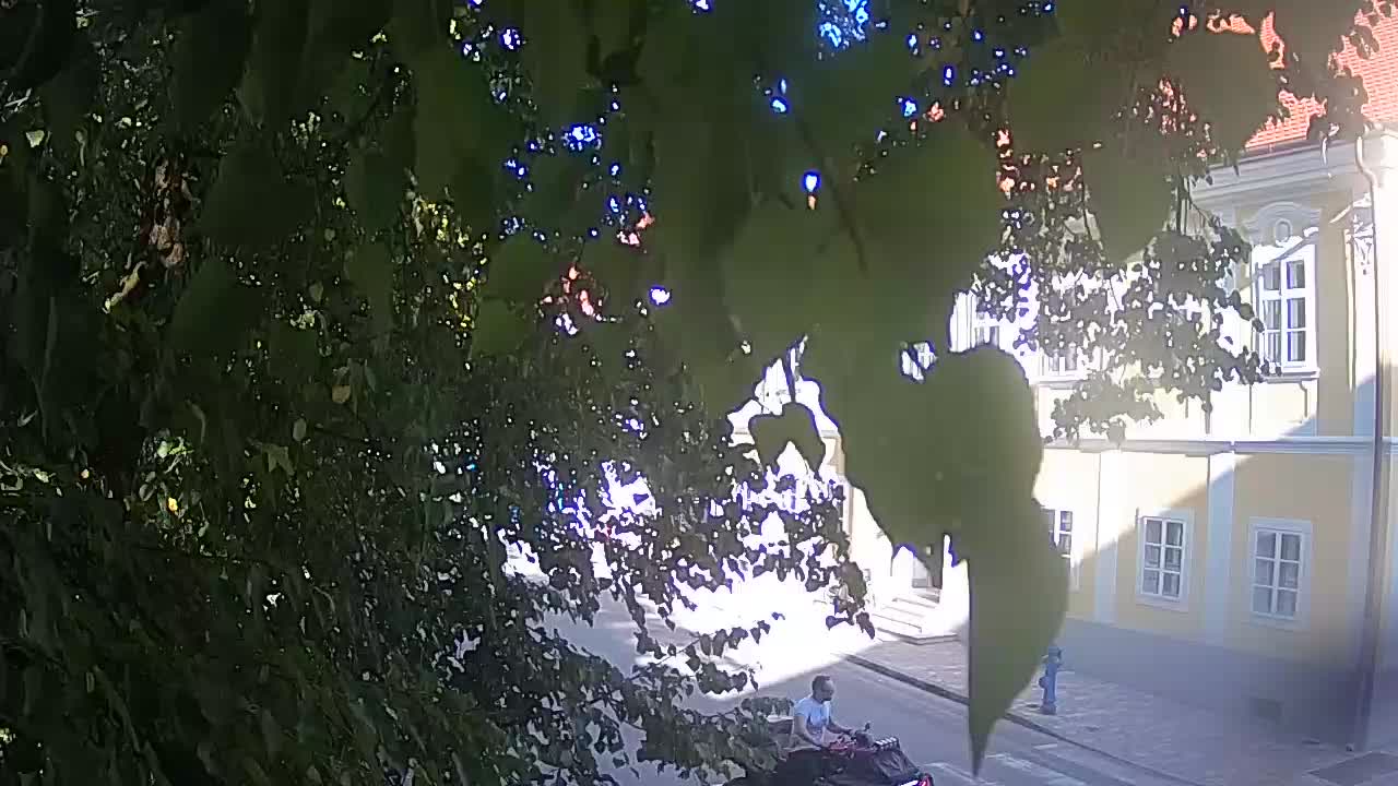 Live Webcam Petrinja Park – nach dem Erdbeben