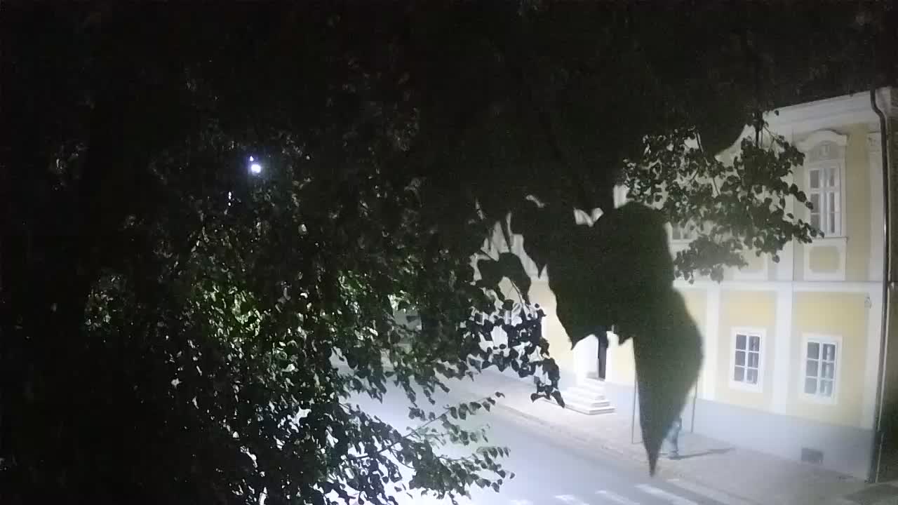 Webcam en direct du parc Petrinja – après le tremblement de terre