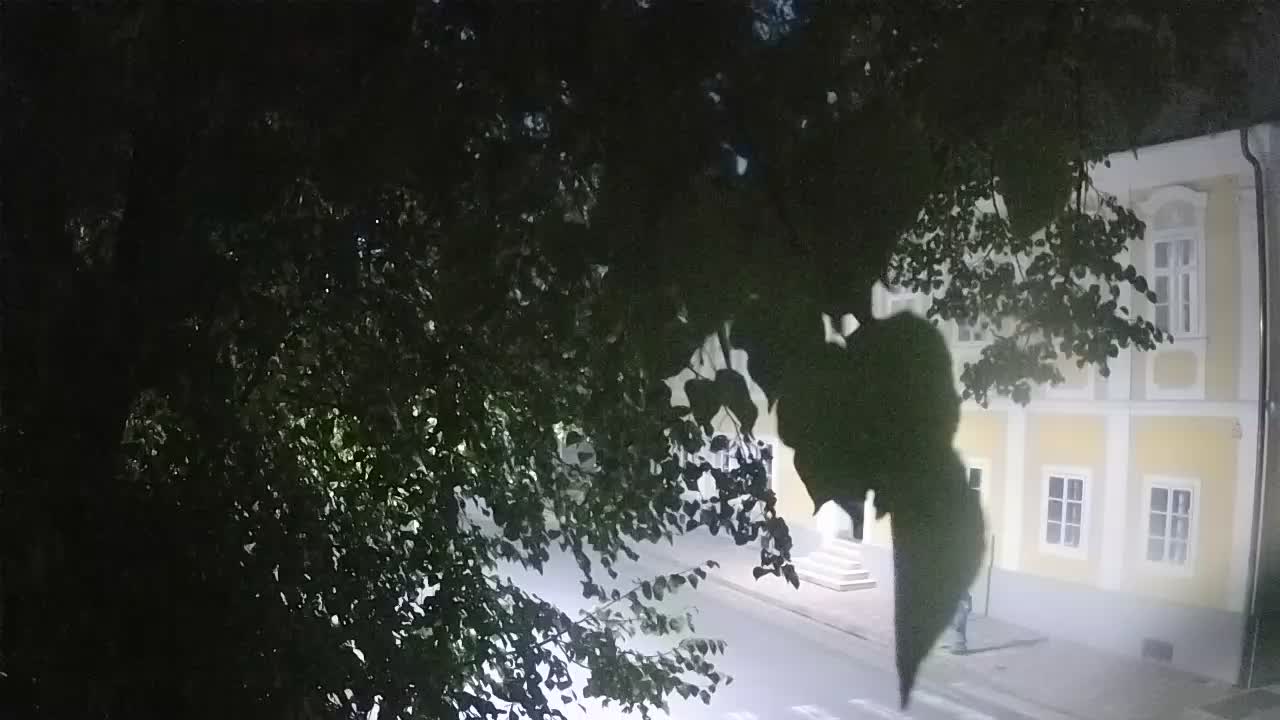 Webcam en vivo parque Petrinja – después del terremoto