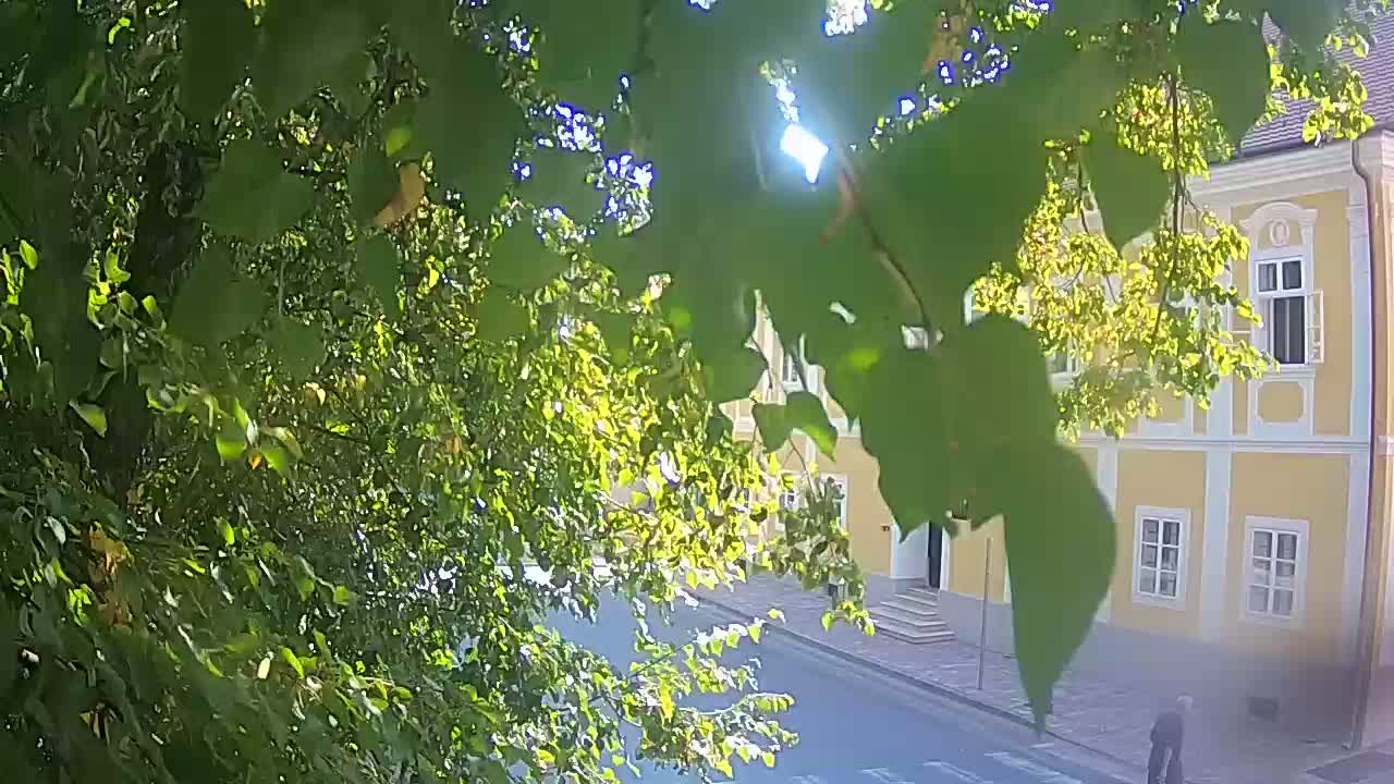 Webcam en vivo parque Petrinja – después del terremoto