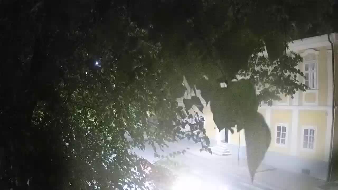 Webcam en direct du parc Petrinja – après le tremblement de terre