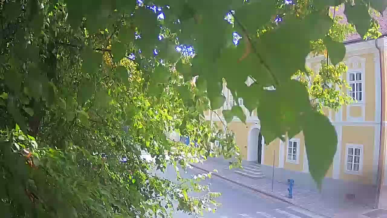 Live webcam parco Petrinja – dopo il terremoto
