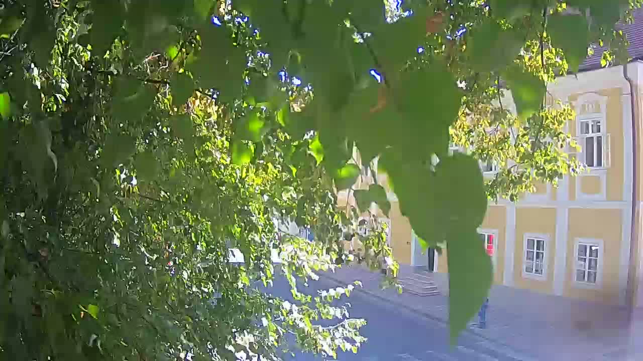 Web kamera uživo Petrinja centralni park – nakon potresa
