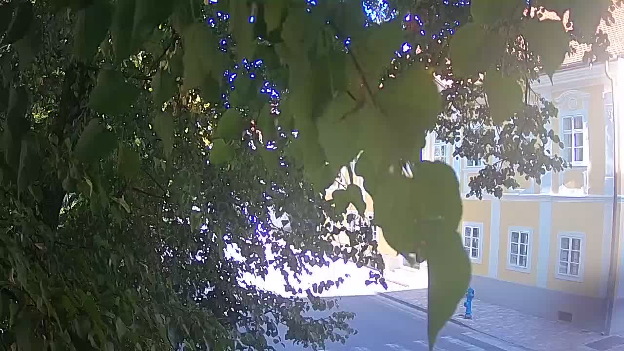 Live webcam Petrinja central park – after the earthquake