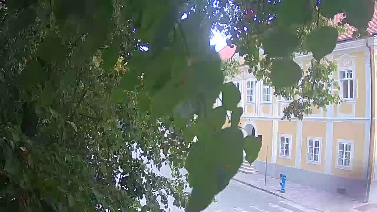 Webcam en vivo parque Petrinja – después del terremoto