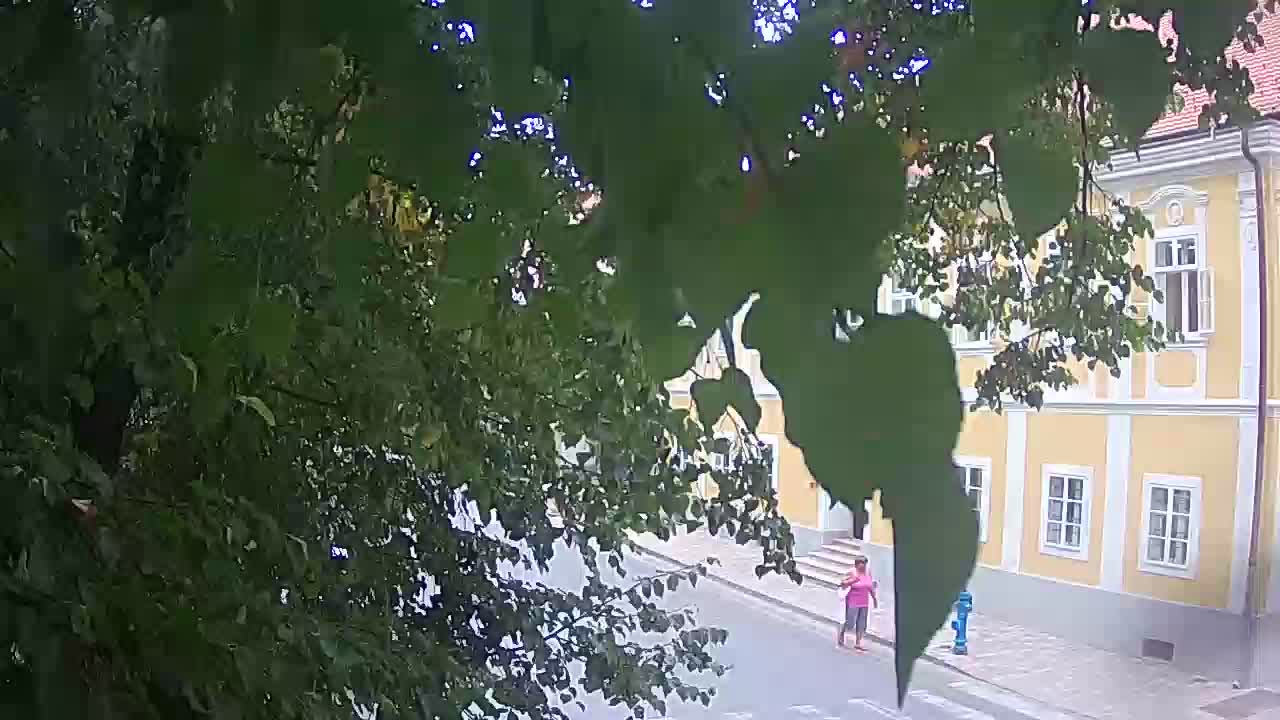 Live webcam Petrinja central park – after the earthquake