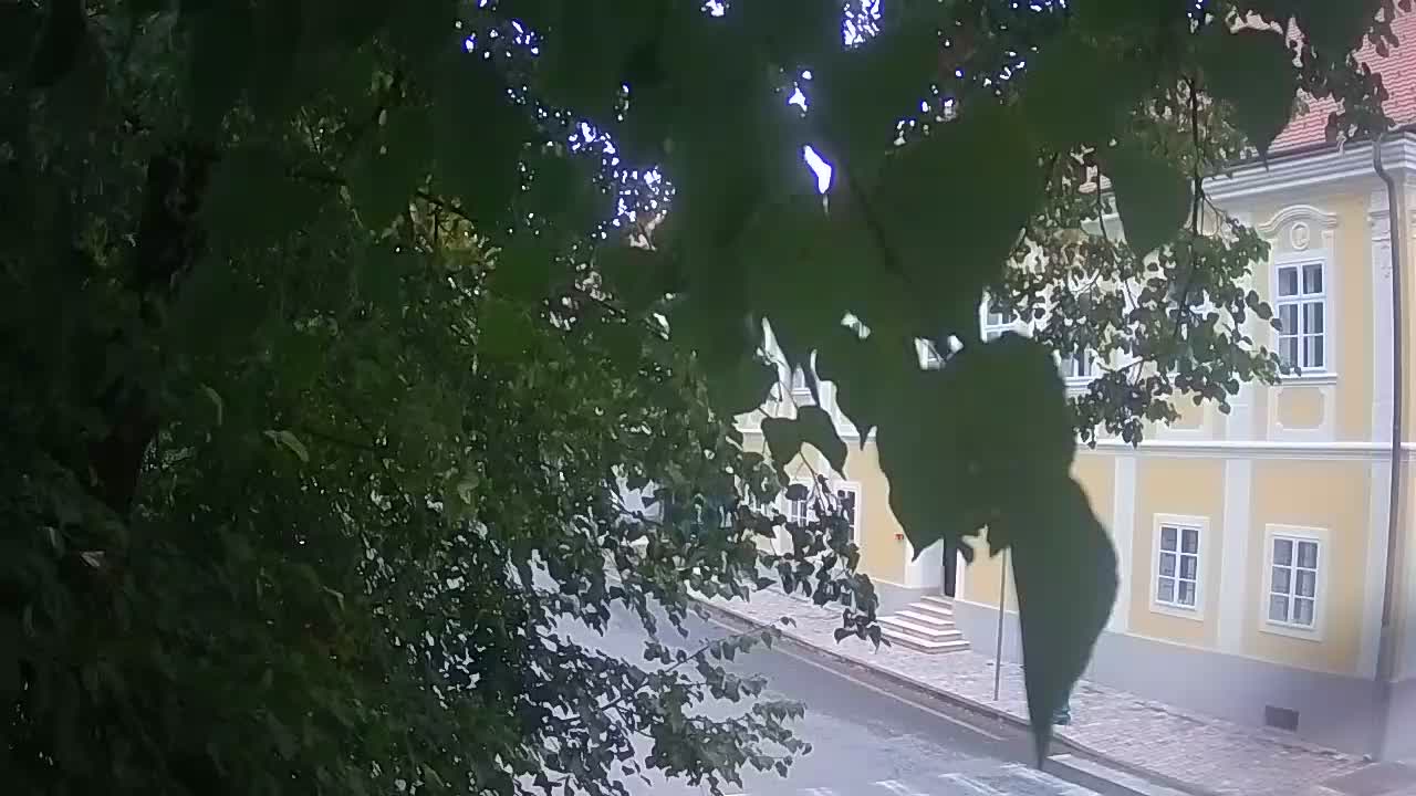 Spletna kamera v živo Petrinja centralni park – po potresu