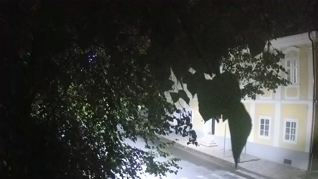 Webcam en vivo parque Petrinja – después del terremoto