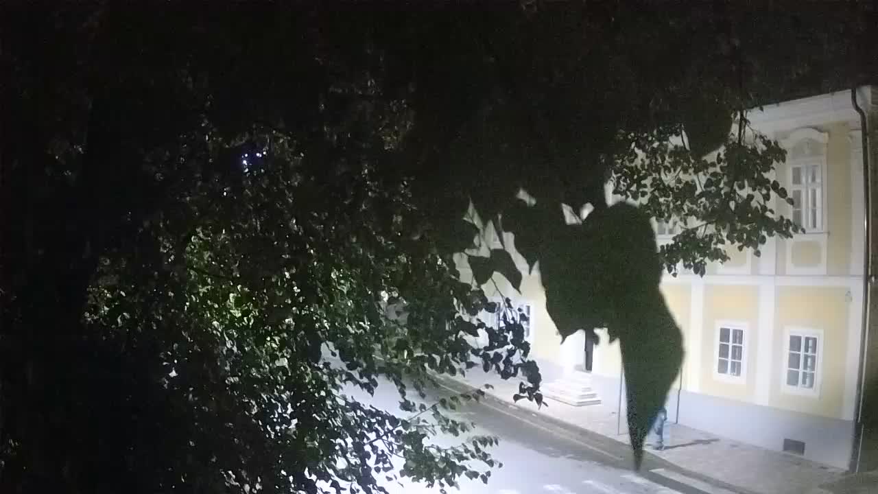 Live webcam Petrinja central park – after the earthquake