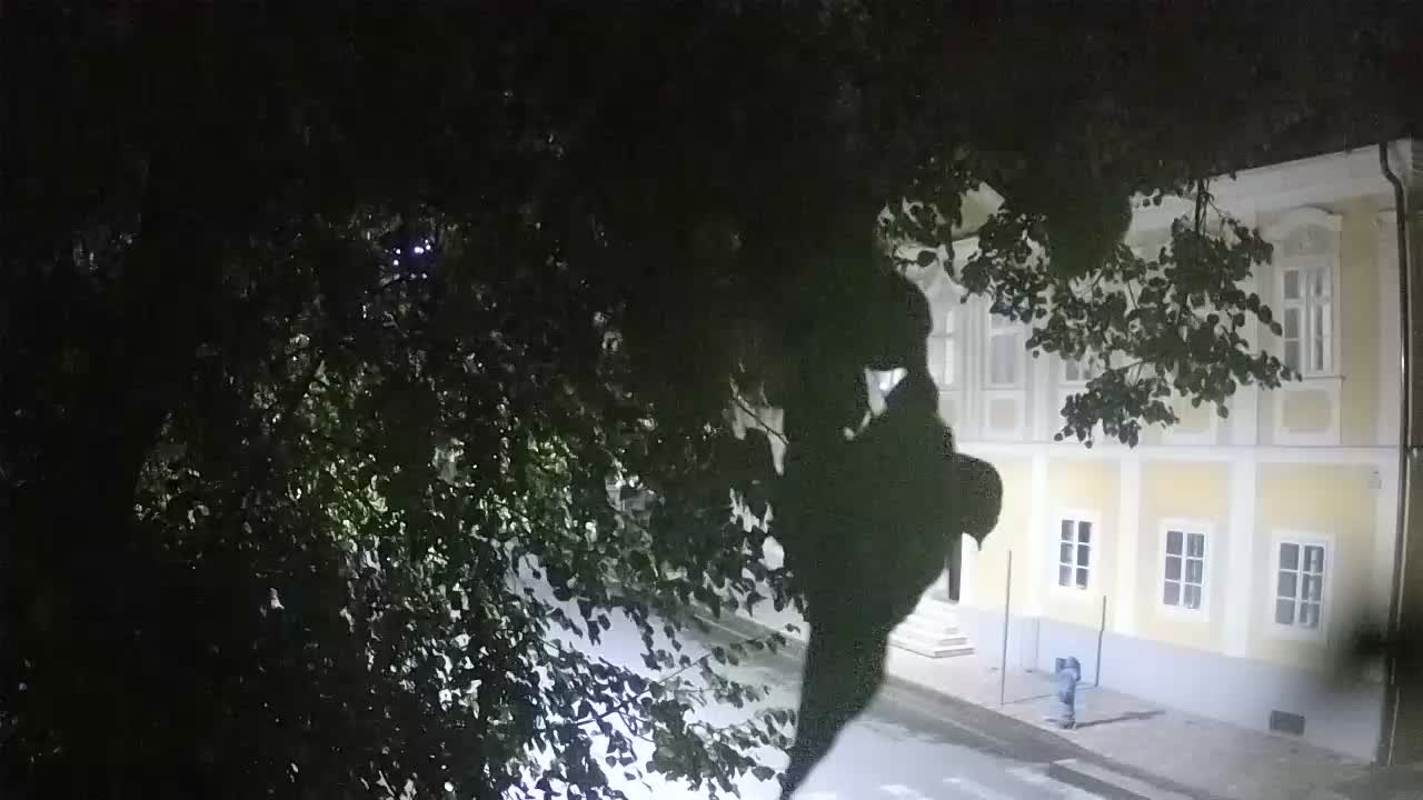 Spletna kamera v živo Petrinja centralni park – po potresu
