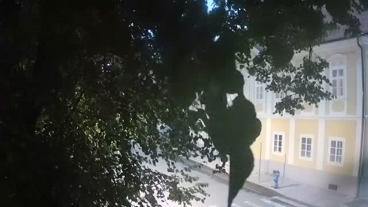 Spletna kamera v živo Petrinja centralni park – po potresu