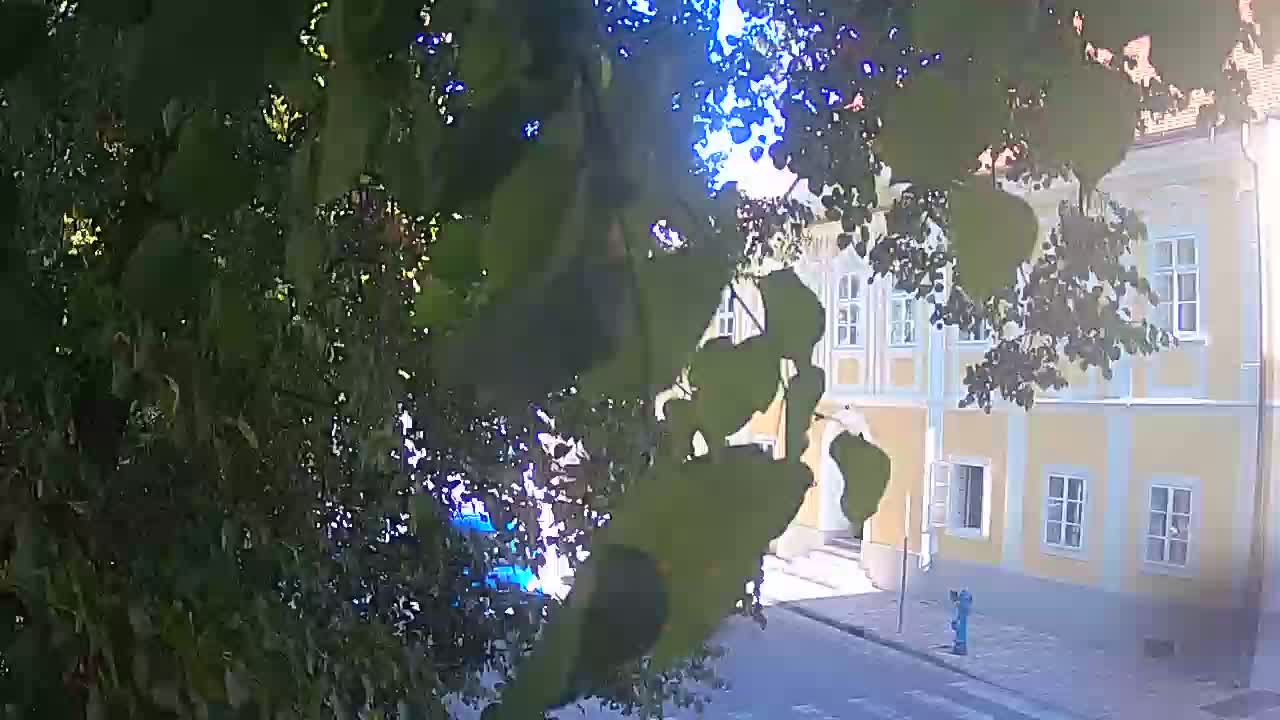 Webcam en direct du parc Petrinja – après le tremblement de terre