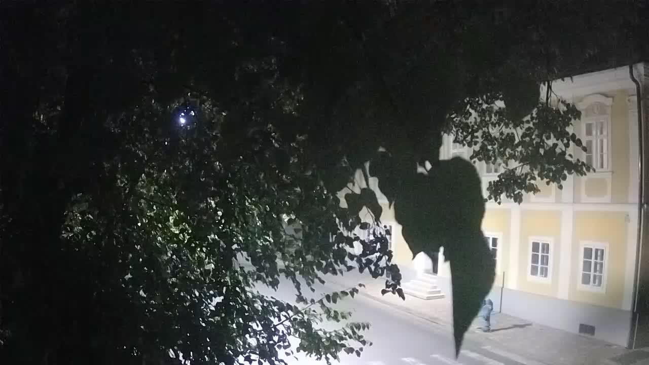 Live webcam parco Petrinja – dopo il terremoto