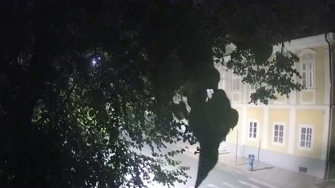 Live webcam parco Petrinja – dopo il terremoto