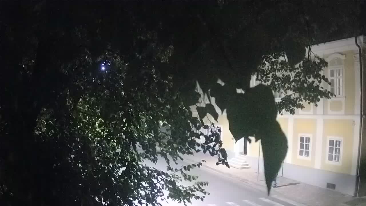 Live webcam Petrinja central park – after the earthquake