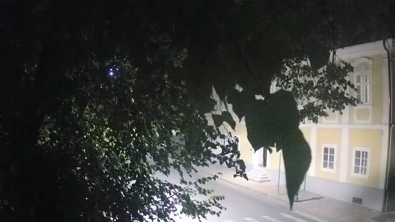 Webcam en vivo parque Petrinja – después del terremoto