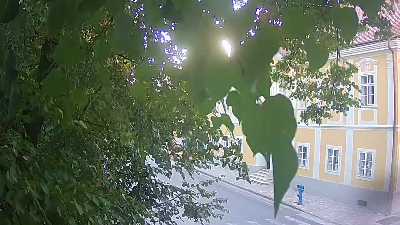 Live webcam parco Petrinja – dopo il terremoto