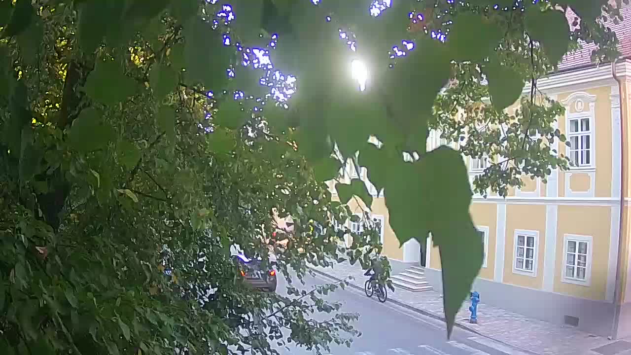 Spletna kamera v živo Petrinja centralni park – po potresu