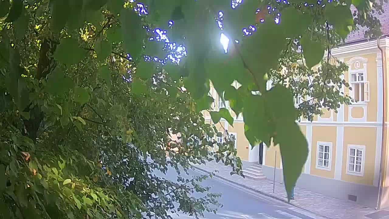 Webcam en vivo parque Petrinja – después del terremoto