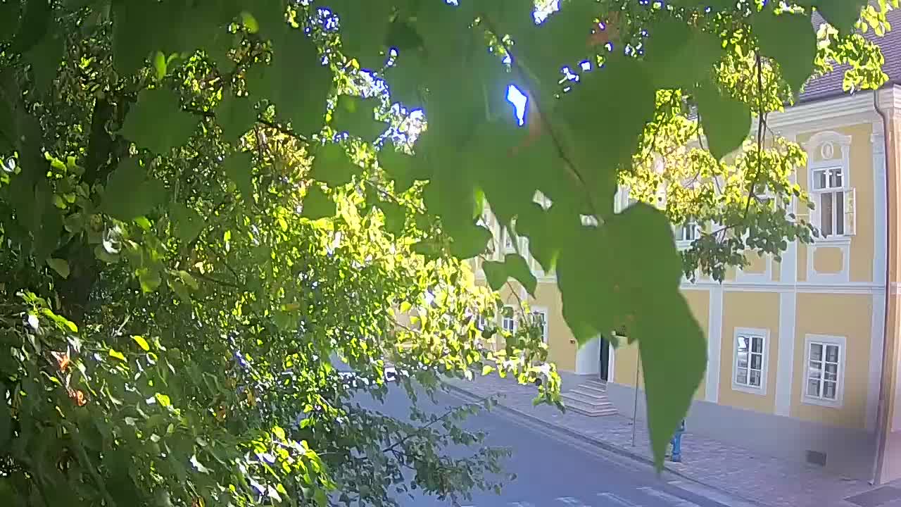 Webcam en direct du parc Petrinja – après le tremblement de terre
