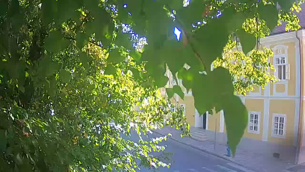 Spletna kamera v živo Petrinja centralni park – po potresu