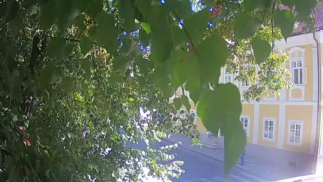 Live webcam Petrinja central park – after the earthquake