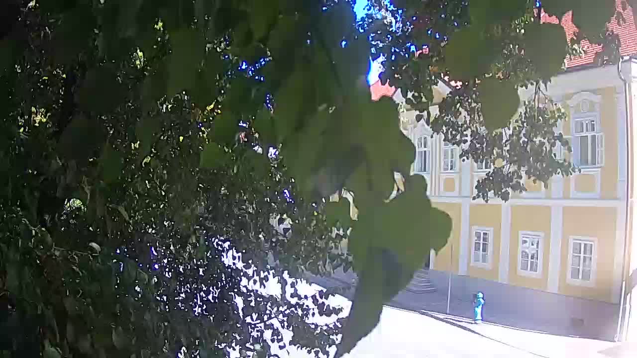 Live webcam Petrinja central park – after the earthquake