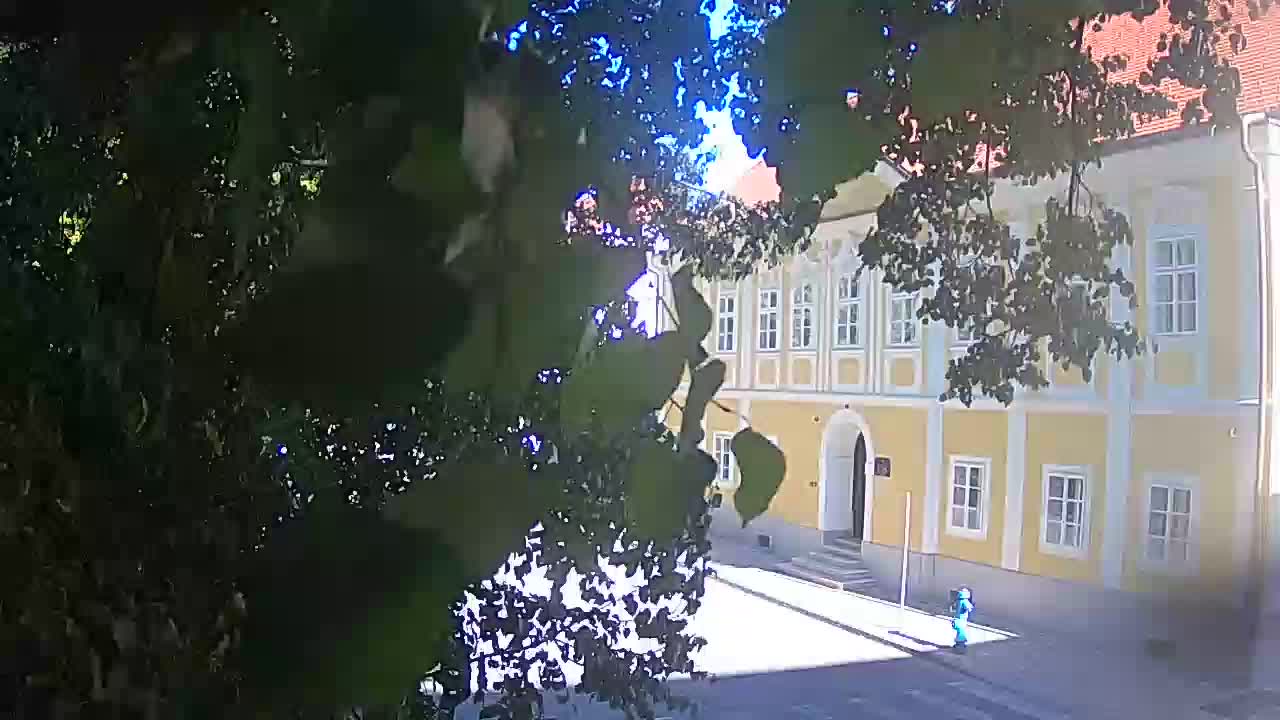Webcam en direct du parc Petrinja – après le tremblement de terre
