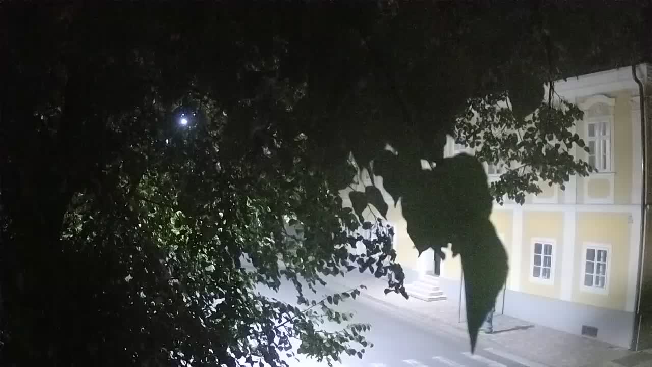 Webcam en direct du parc Petrinja – après le tremblement de terre