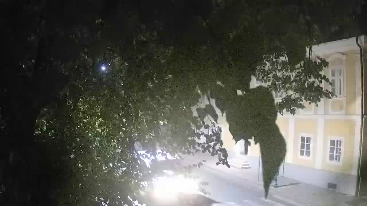 Live webcam parco Petrinja – dopo il terremoto