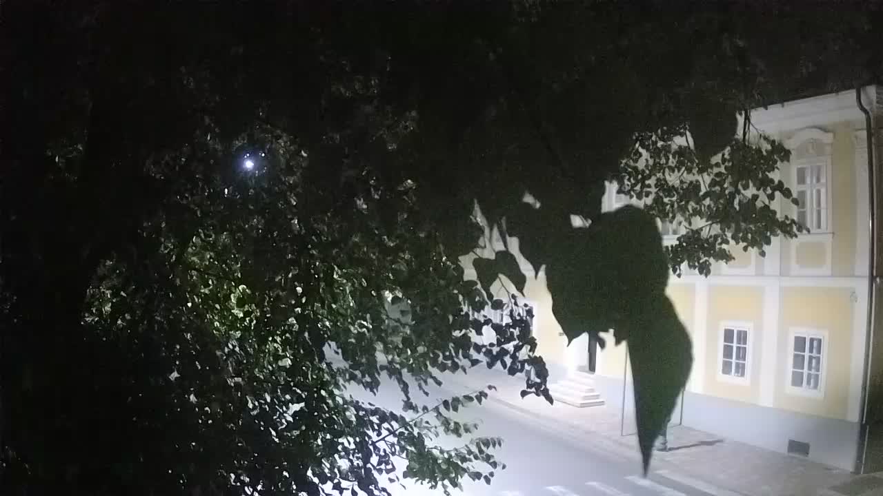 Spletna kamera v živo Petrinja centralni park – po potresu