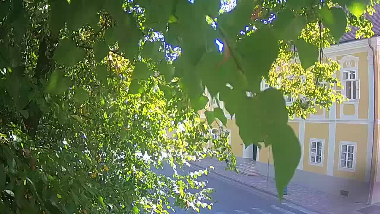 Live webcam Petrinja central park – after the earthquake