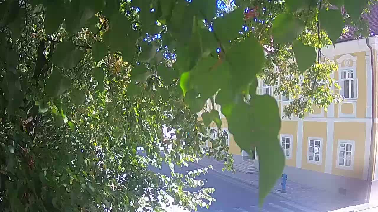 Webcam en vivo parque Petrinja – después del terremoto