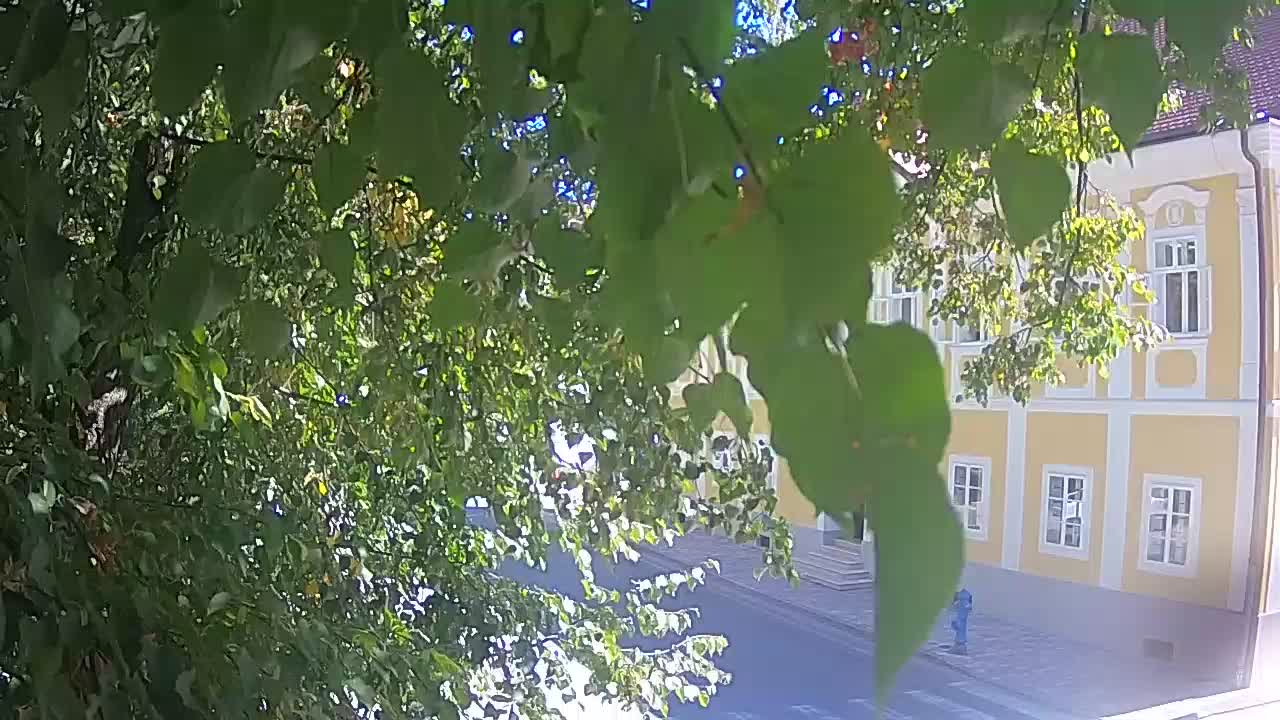 Webcam en direct du parc Petrinja – après le tremblement de terre