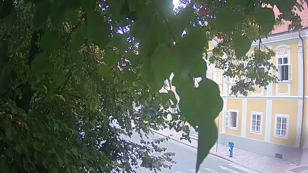 Spletna kamera v živo Petrinja centralni park – po potresu