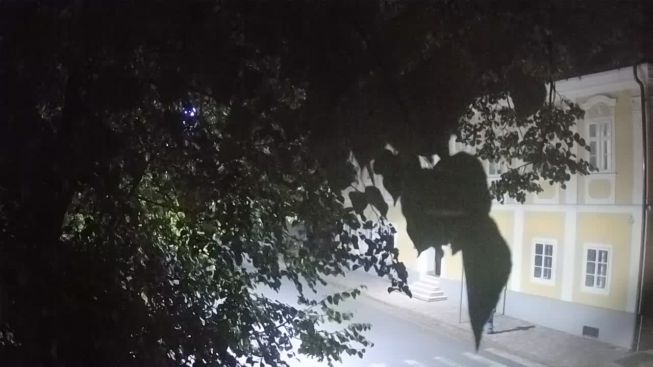 Live webcam Petrinja central park – after the earthquake
