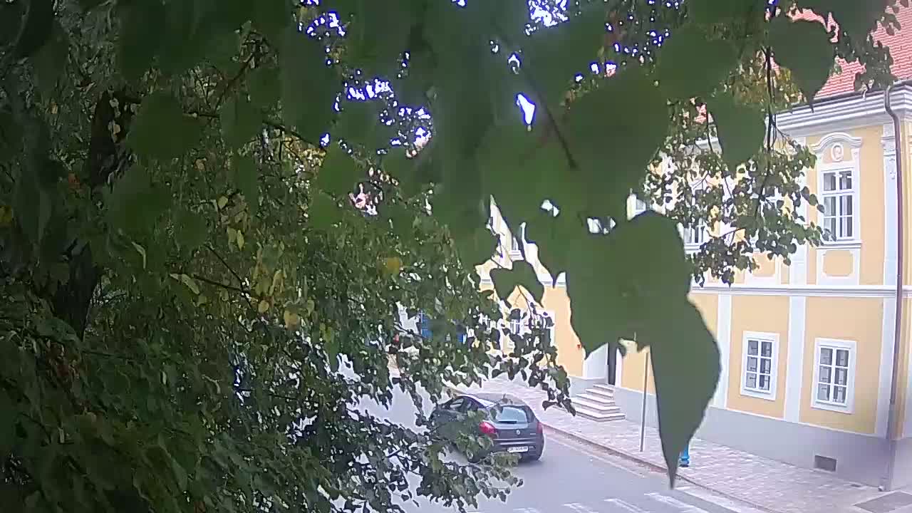 Live webcam Petrinja central park – after the earthquake