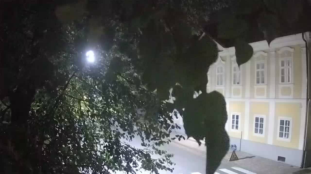 Live webcam parco Petrinja – dopo il terremoto