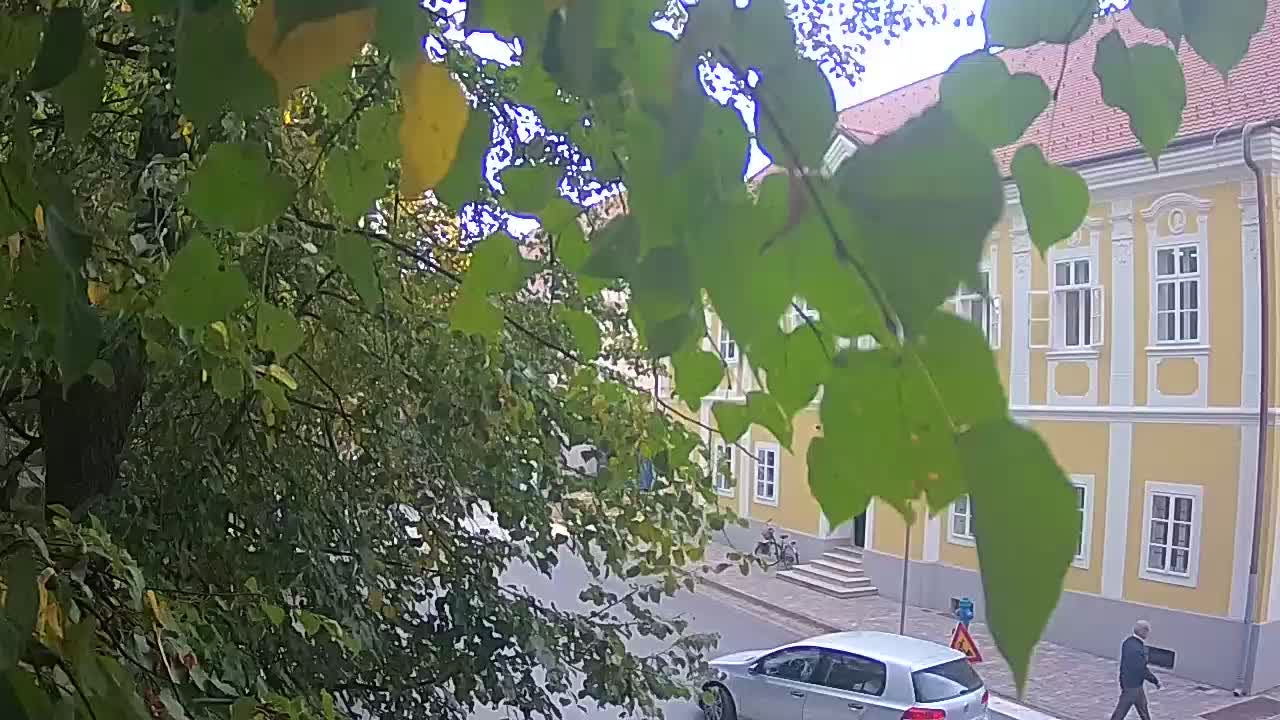 Web kamera uživo Petrinja centralni park – nakon potresa