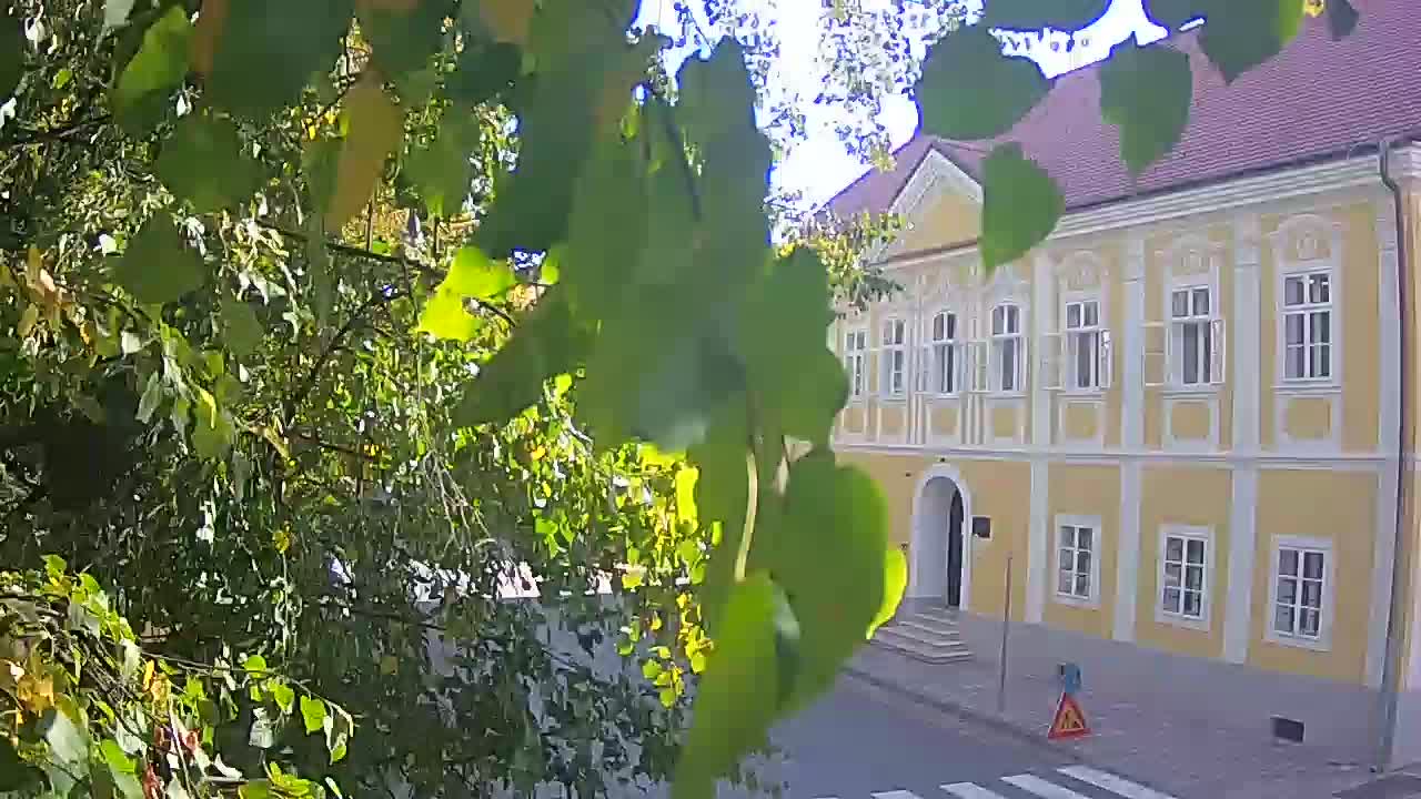 Live webcam parco Petrinja – dopo il terremoto
