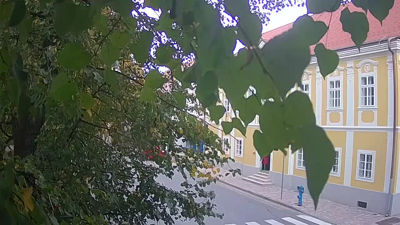 Spletna kamera v živo Petrinja centralni park – po potresu