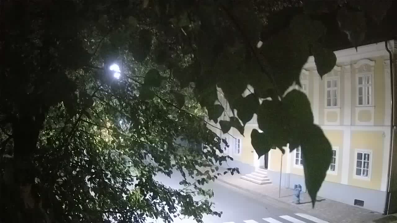 Spletna kamera v živo Petrinja centralni park – po potresu