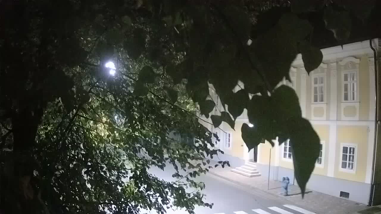 Spletna kamera v živo Petrinja centralni park – po potresu