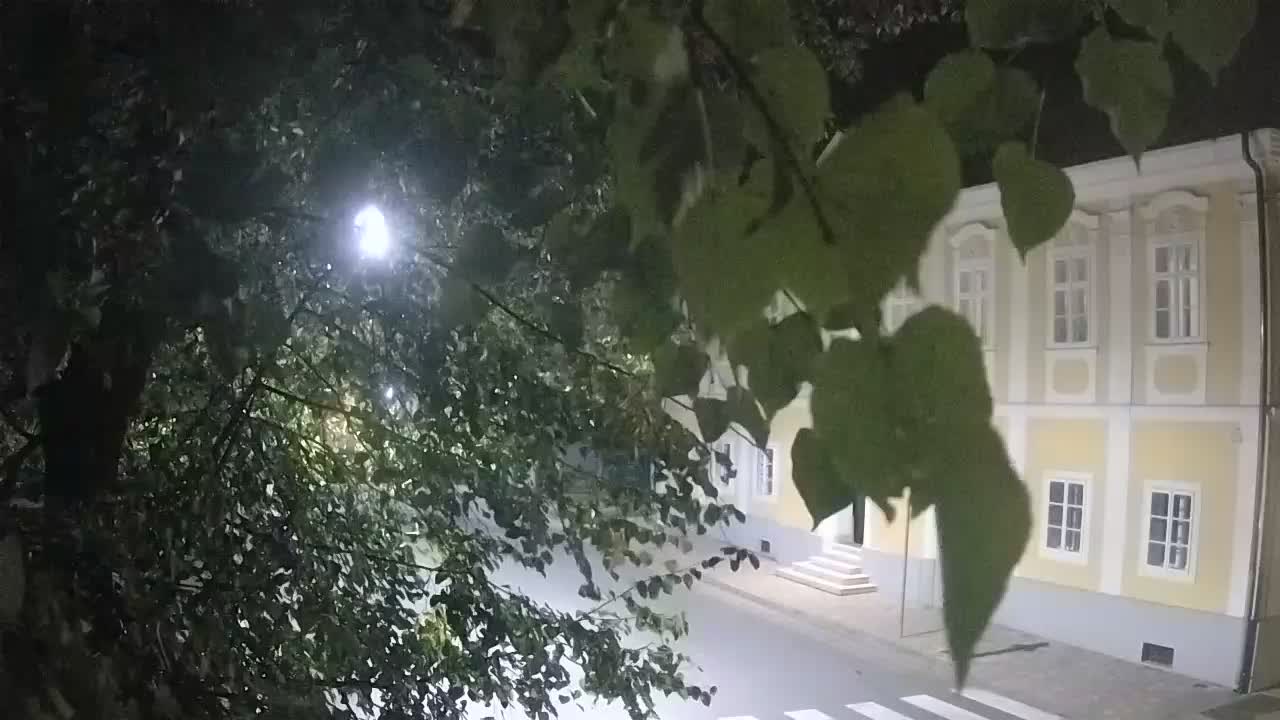 Live webcam parco Petrinja – dopo il terremoto